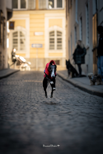 Fotowalk Graz Stadt-1-5