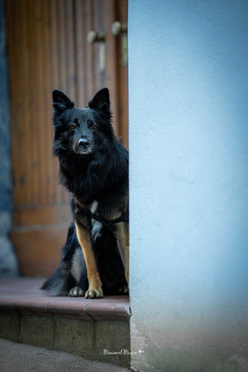 Fotowalk Graz Stadt-4