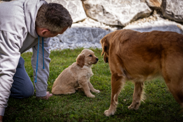 angebote all inclusive